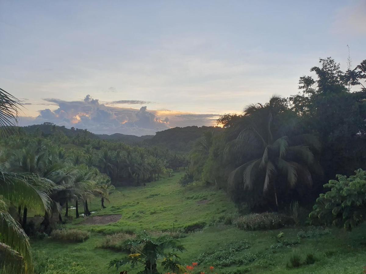 Mango Tree Siargao Villa General Luna  Exterior photo